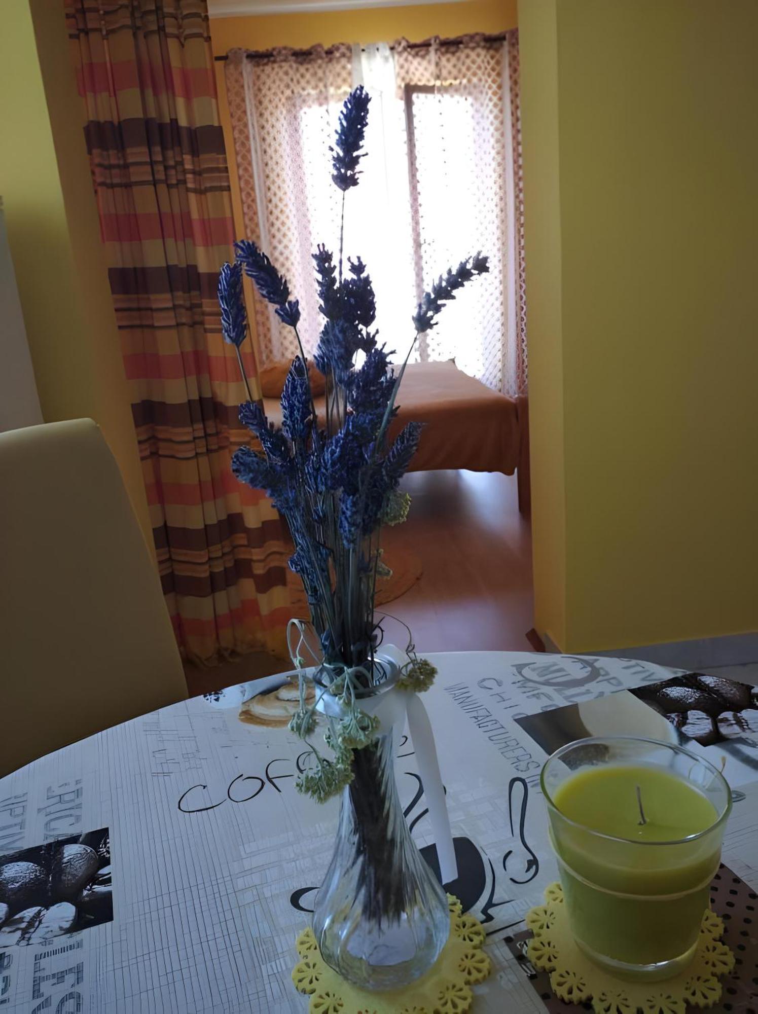 Cozy Apartments Danica Novalja With Terrace - First Floor Экстерьер фото